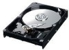 Get support for Samsung HD161HJ - SpinPoint S166 160 GB Hard Drive