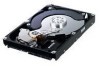 Get support for Samsung HD642JJ - SpinPoint F1 Desktop Class 640 GB Hard Drive