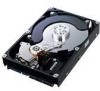 Get support for Samsung HE502IJ - SpinPoint F1 RAID Class 500 GB Hard Drive