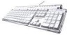 Troubleshooting, manuals and help for Samsung PKB-7000X - Pleomax Crystal Wired Keyboard