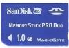 Troubleshooting, manuals and help for SanDisk SDMSPD-1024-AW11 - 1GB Memory Stick PRO Duo Card