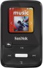Troubleshooting, manuals and help for SanDisk SDMX22-004G-A57K