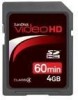 Troubleshooting, manuals and help for SanDisk SDSDHV-004G-A15 - Video HD Flash Memory Card