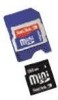 Troubleshooting, manuals and help for SanDisk SDSDM-256-A10 - Mini SD Flash Memory Card