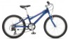 Troubleshooting, manuals and help for Schwinn Lula 20