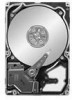Troubleshooting, manuals and help for Seagate 10K.3 - Savvio 300 GB Hard Drive