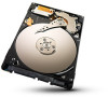 Troubleshooting, manuals and help for Seagate Momentus Thin