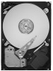 Troubleshooting, manuals and help for Seagate ST1000DL002