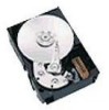 Troubleshooting, manuals and help for Seagate ST136475LW - Barracuda 36.4 GB Hard Drive