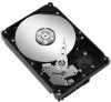 Get support for Seagate ST250DM000
