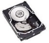 Troubleshooting, manuals and help for Seagate ST3146854LC - Cheetah 146.8 GB Hard Drive
