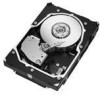 Troubleshooting, manuals and help for Seagate ST3146855LC - Cheetah 146.8 GB Hard Drive