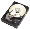 Get support for Seagate ST3160023A