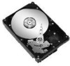 Get support for Seagate ST3160215A - Barracuda 160 GB Hard Drive