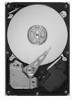 Troubleshooting, manuals and help for Seagate SV35.5 - Series 250 GB Hard Drive
