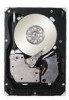 Seagate ST3300656SS Support Question