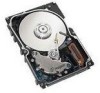 Troubleshooting, manuals and help for Seagate ST336605FC - Cheetah 33.7 GB Hard Drive
