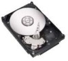 Troubleshooting, manuals and help for Seagate NL35 - Series 400 GB Hard Drive