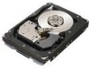 Troubleshooting, manuals and help for Seagate ST3600002FC - Cheetah 600 GB Hard Drive