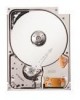 Troubleshooting, manuals and help for Seagate ST730212DE - Lyrion 30 GB Hard Drive