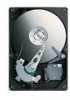 Troubleshooting, manuals and help for Seagate ST90160N1A3AS-RK - Momentus 160 GB Hard Drive