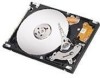 Get support for Seagate ST910021AS - Momentus 7200.1 100 GB Hard Drive