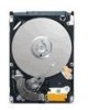 Seagate ST9160310AS New Review