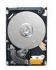 Seagate ST9160314AS Support Question
