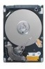Seagate ST9250410AS Support Question