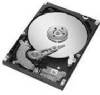 Troubleshooting, manuals and help for Seagate ST94019A - Momentus 42 40 GB Hard Drive