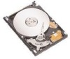 Troubleshooting, manuals and help for Seagate ST96812AS - Momentus 5400.2 60 GB Hard Drive