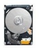 Troubleshooting, manuals and help for Seagate ST980310AS - Momentus 5400.5 80 GB Hard Drive