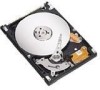 Get support for Seagate ST980825A - Momentus 7200.1 80 GB Hard Drive