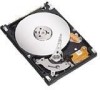 Troubleshooting, manuals and help for Seagate ST980825AS - Momentus 7200.1 80 GB Hard Drive