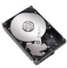 Get support for Seagate STM3250620A - Maxtor DiamondMax 250 GB Hard Drive