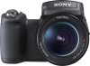 Troubleshooting, manuals and help for Sony DSC R1 - Cybershot 10.3MP Digital Camera