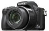 Sony DSC H50 New Review