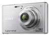 Troubleshooting, manuals and help for Sony DSC-W550