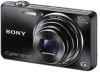 Troubleshooting, manuals and help for Sony DSC-WX100