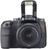 Troubleshooting, manuals and help for Sony DSLR-A100W