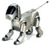 Troubleshooting, manuals and help for Sony ERS-110 - Aibo Entertainment Robot