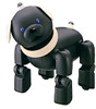 Troubleshooting, manuals and help for Sony ERS-312 - Aibo Entertainment Robot