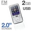 Troubleshooting, manuals and help for Sony NWZ-E435FSLVWM - 2GB Walkman Video MP3 Player