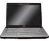 Get support for Toshiba A215-S6814 - Satellite - Turion 64 X2 2.2 GHz