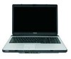 Toshiba L355D-S7901 New Review