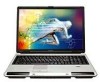 Get support for Toshiba P105 S6197 - Satellite - Core 2 Duo 1.6 GHz