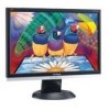 Troubleshooting, manuals and help for ViewSonic VA1916W - 19 Inch LCD Monitor