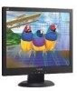 Troubleshooting, manuals and help for ViewSonic VA703MB - 17 Inch LCD Monitor