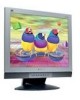 Get support for ViewSonic VG900 - 19