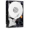 Troubleshooting, manuals and help for Western Digital Protege